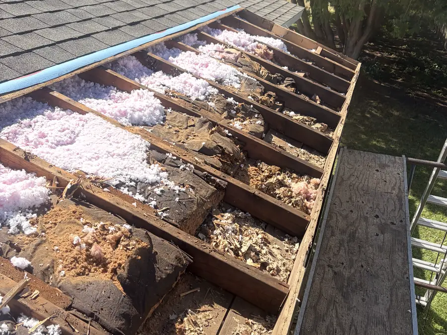Rotted roof boards opened up over the attic insulation during a tear-off