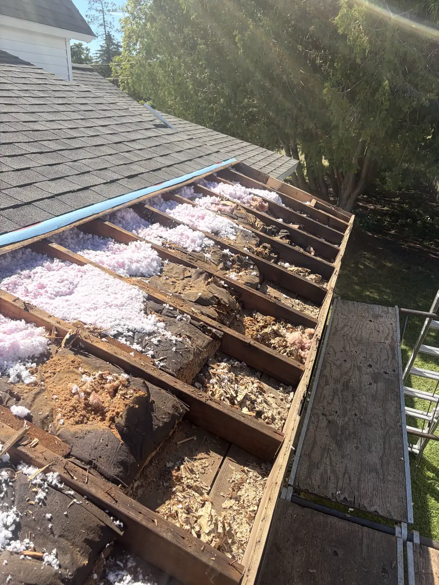 Rotted roof boards and rafters exposed over attic insulation
